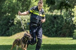 ‘Inzet hond gebeurt volgens duidelijke richtlijnen’