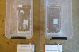 Zes verdachten opgepakt voor versturen van XTC met postpakketten