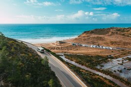 Indie Campers werkt samen met Forstfreunde: CO2 compensatie voor je roadtrip door het planten van bomen