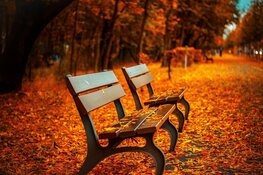 Buiigheid neemt af bij start van de herfst