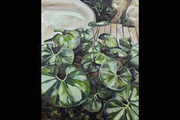 Traditie zet voort in Het Aardscheveld