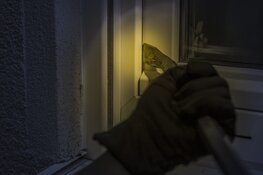 Vorig jaar minder schuurinbraken in Drenthe