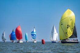 De Flevoland regatta 2024. Hou je van ZEILEN...... DOE DAN MEE!