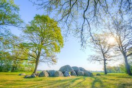 Provincie vraagt 180 miljoen euro aan Rijk voor natuurherstelmaatregelen
