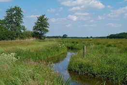 Inrichting Geelbroek van start