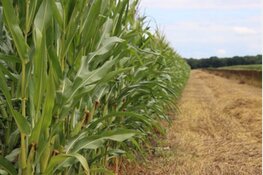 Drenthe zet vakkennis van ondernemers centraal in Landbouwkoers 2040