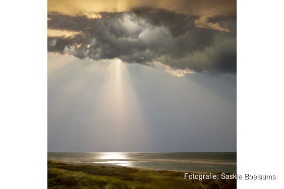 Saskia Boelsums exposeert landschappen op de noordelijke kunstbeurs Kunst aan het Hof