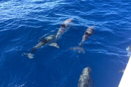 Stap aan boord en beleef een onvergetelijke zeilvakantie in Griekenland