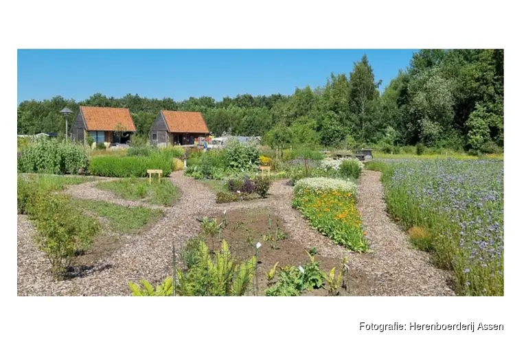 Open Dag en zomerse activiteiten op Herenboerderij Assen