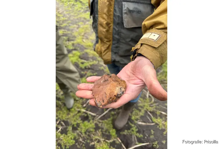 Bijzondere vindplaats Neanderthalers bij Noordsche Veld in Peest