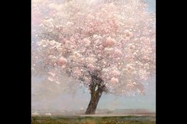 Saskia Boelsums exposeert nieuwste werk op de noordelijke kunstbeurs Kunst aan het Hof