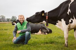 Campina Open Boerderijdagen 2026: boerderijen in Drenthe open voor publiek
