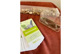 Basisschool De Parel in Assen viert Nationale Buitenlesdag