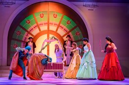 Doornroosje De Musical in Theater De Nieuwe Kolk