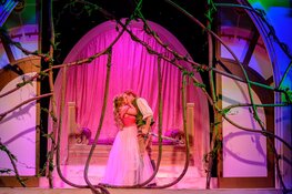 Doornroosje De Musical in Theater De Nieuwe Kolk