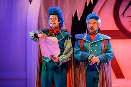 Doornroosje De Musical in Theater De Nieuwe Kolk