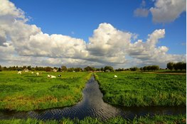 Natuurmonumenten na waarschuwing Rekenkamer: minister moet nu komen met nationale droogteaanpak