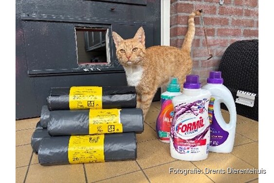 Fair en Rommelmarkt bij Open dag Dierentehuis Beilen op 3 oktober!